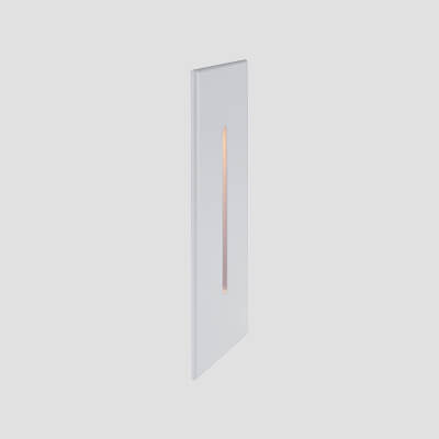 MS-CL1006